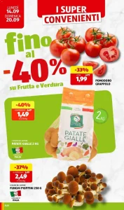 Pagina 34423