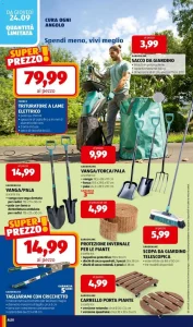Pagina 35258