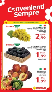 Pagina 35104