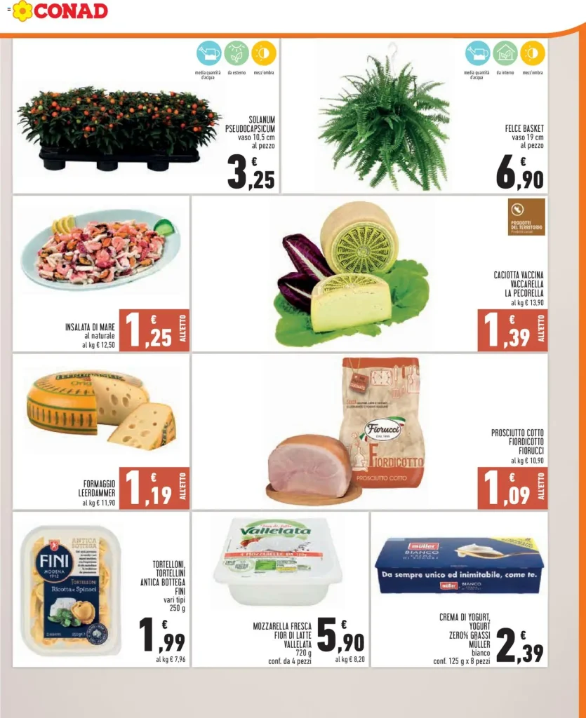 Pagina 35278